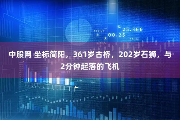 中股网 坐标简阳，361岁古桥，202岁石狮，与2分钟起落的飞机