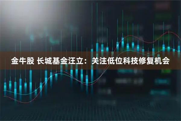 金牛股 长城基金汪立：关注低位科技修复机会