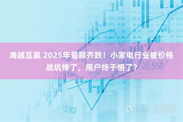 海越互赢 2025年量额齐跌！小家电行业被价格战坑惨了，用户终于悟了？