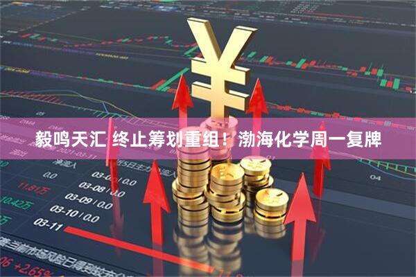 毅鸣天汇 终止筹划重组！渤海化学周一复牌