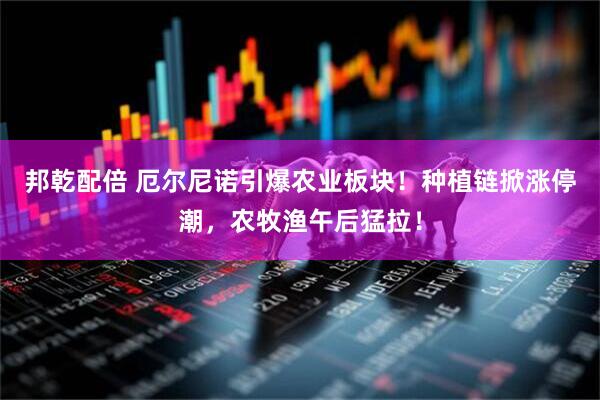 邦乾配倍 厄尔尼诺引爆农业板块！种植链掀涨停潮，农牧渔午后猛拉！